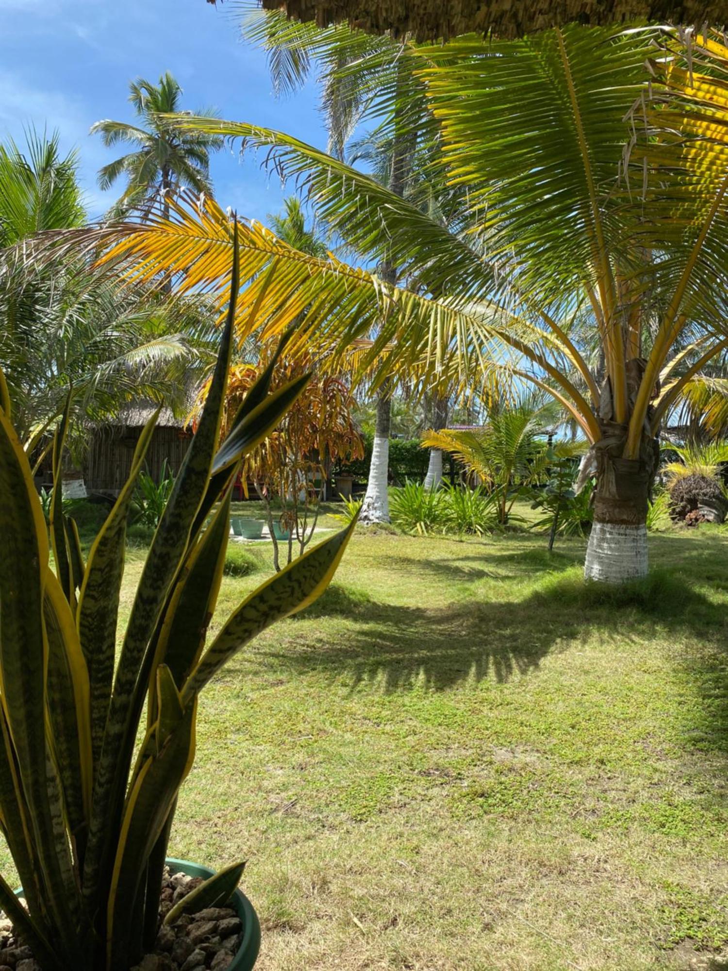 Zéfiro Hostal San Bernardo del Viento Exterior foto